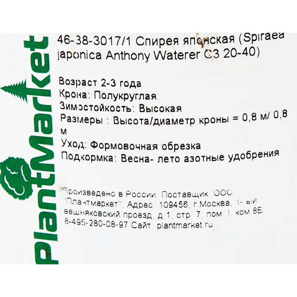 Спирея японская «Энтони Уотерер» C3 20-40 см PLANTMARKET STLM-2133499 - Вид №1
