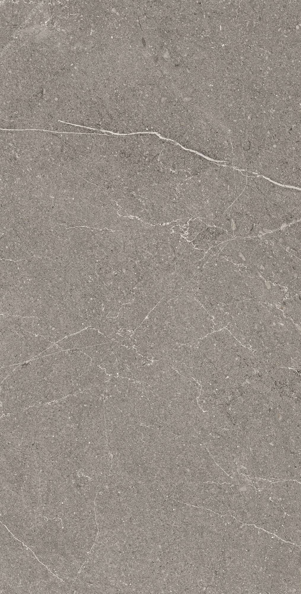 Керамогранит EQUISTONE GRAPHITE 60х120 Arcadia Ceramica RG6002-A - Вид №1
