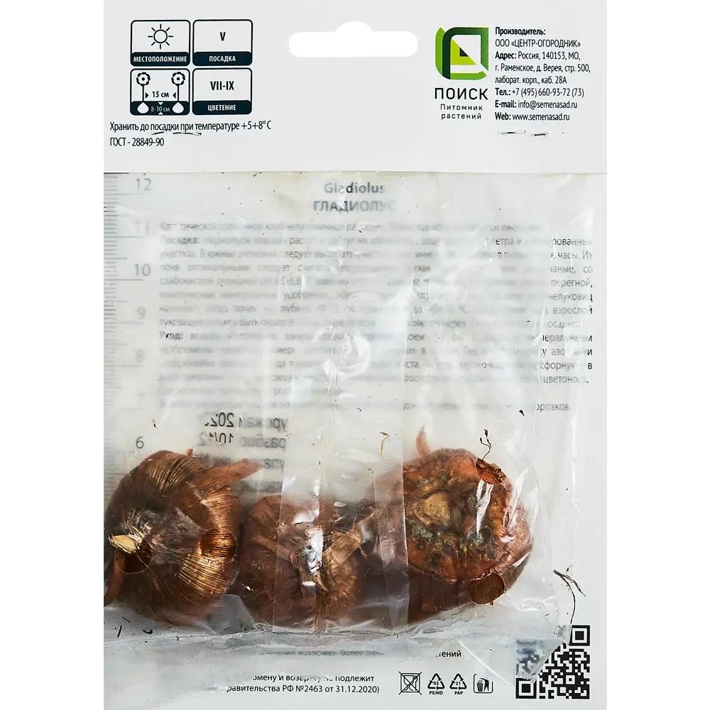 Гладиолус крупноцветковый Алфалфа, 3 шт ПОИСК STLM-2120246 - Вид №1