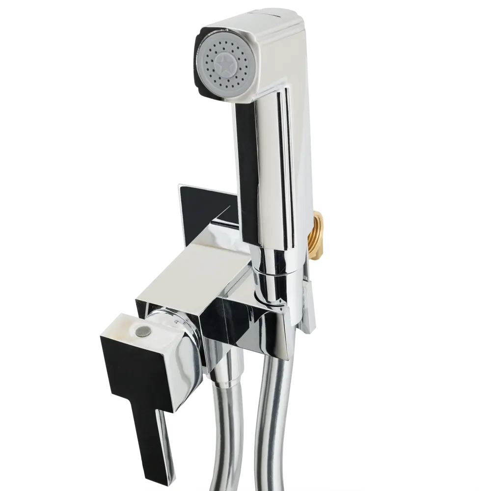 Смеситель Paini Prato встраиваемый с гигиеническим душем цвет хром STLM-2086477