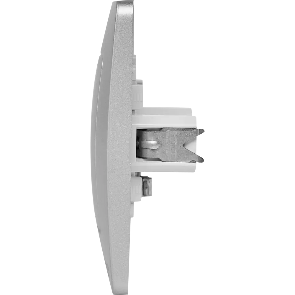 Коннектор ТВ встраиваемый Systeme Electric Blanca цвет алюминий 86728863 STLM-2194194 - Вид №2