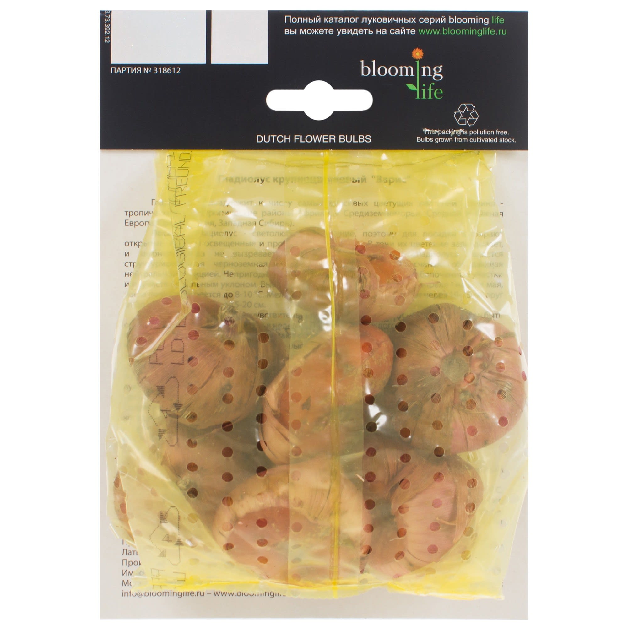 14374863 Гладиолус Крупноцветковый Варис (12/14) Santreyd  - Вид №1