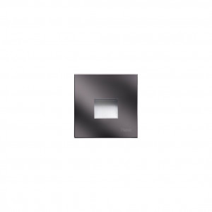 5002819 Светильник встраиваемая в стену / Наружнее освещение Platek SPY SMALL  SPY SMALL - LED 3000K Asymmetrical