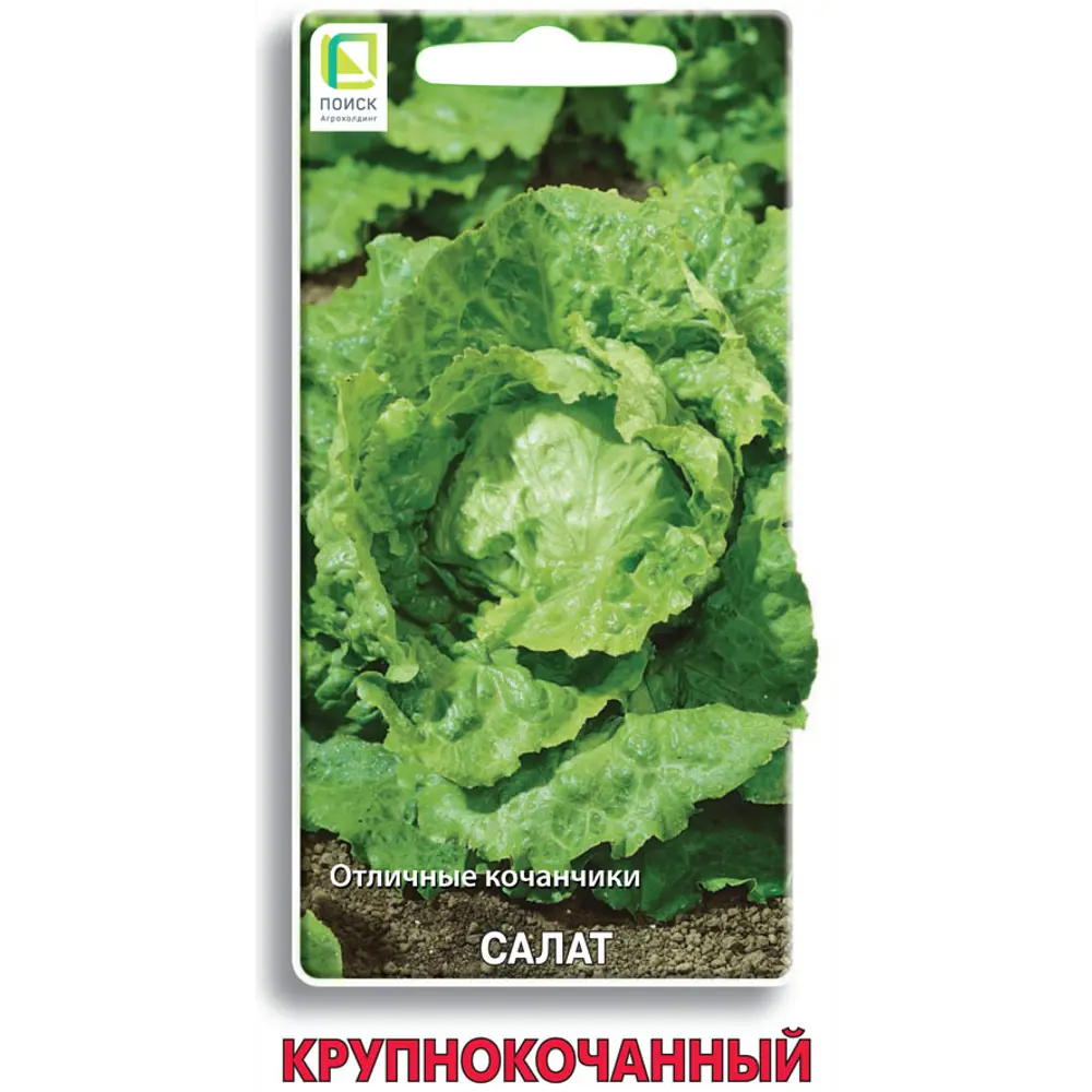 Семена салата крупнокочанного ПОИСК для домашнего огорода 89401181 STLM-1577548