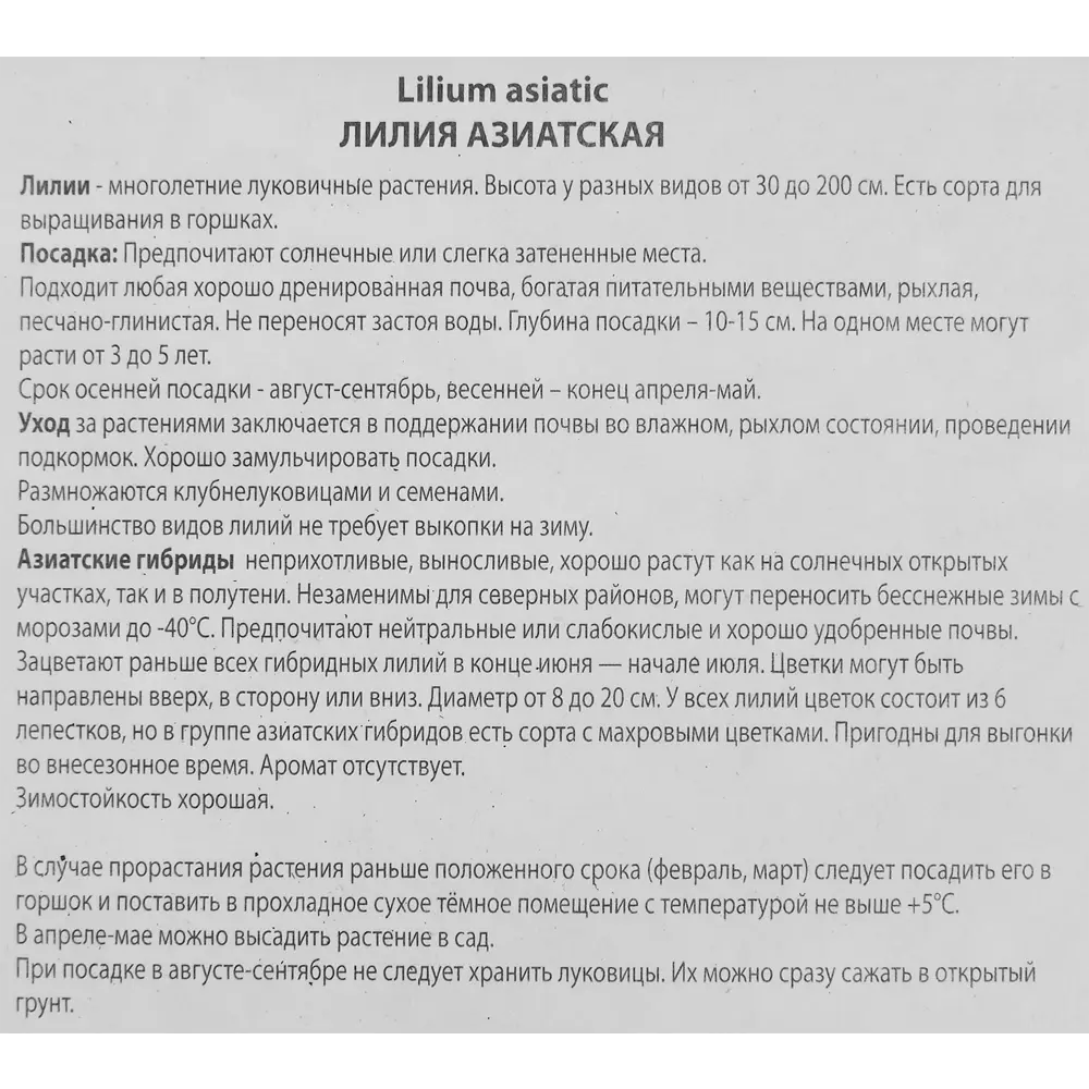 Лилия азиатская Инувик 85186029 STLM-2200276 ПОИСК  - Вид №2