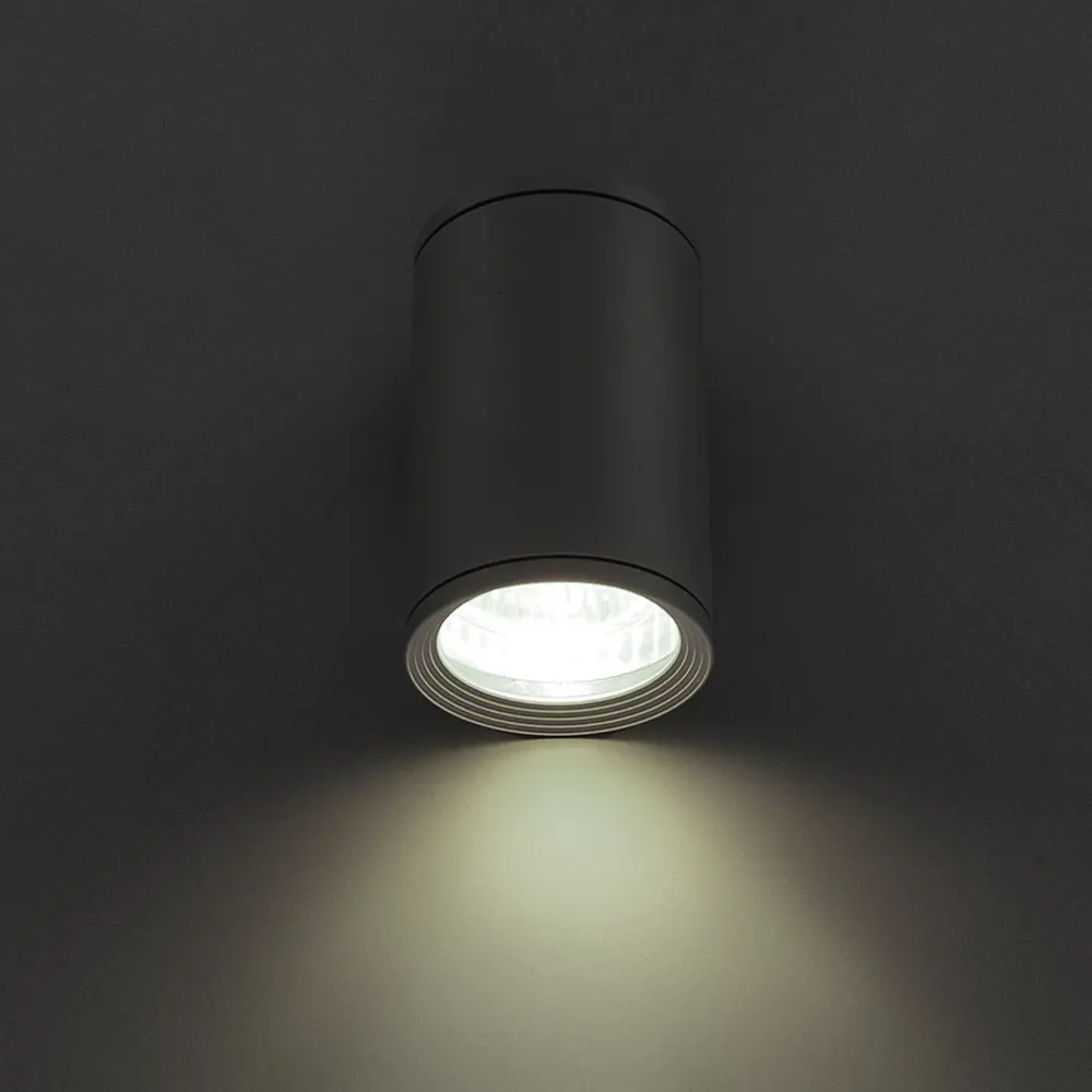 Светильник накладной Light 2101 IP65 1ХGU10Х10W, цвет сер Elektrostandard STLM-2155505 - Вид №1