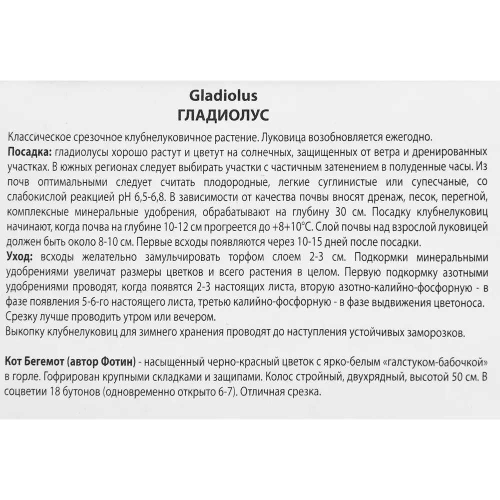 Гладиолус Кот Бегемот, 3 шт 86410046 STLM-2047653 ПОИСК  - Вид №2
