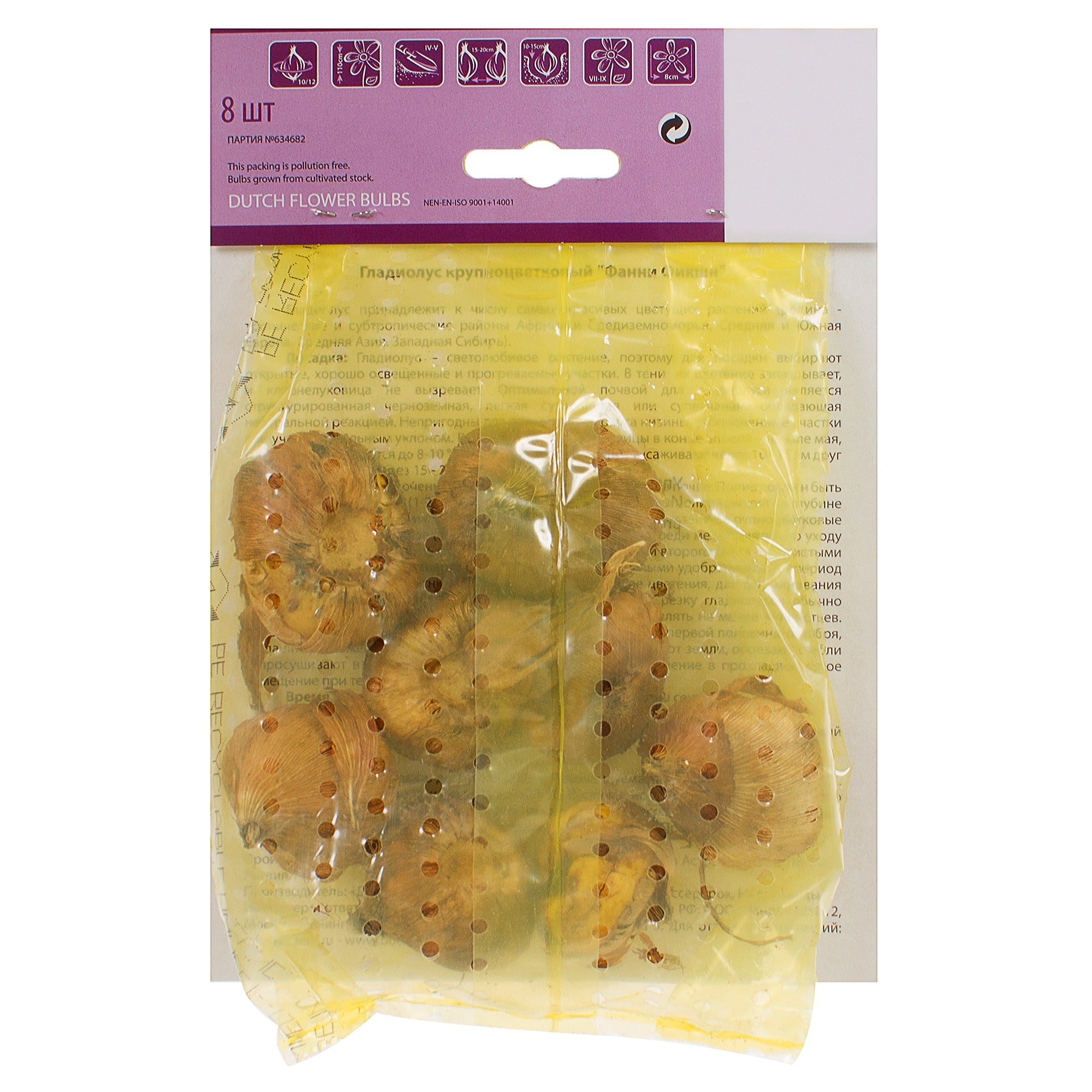 81945876 Гладиолус крупноцветковый «Фанни Фикшн» Santreyd  - Вид №1