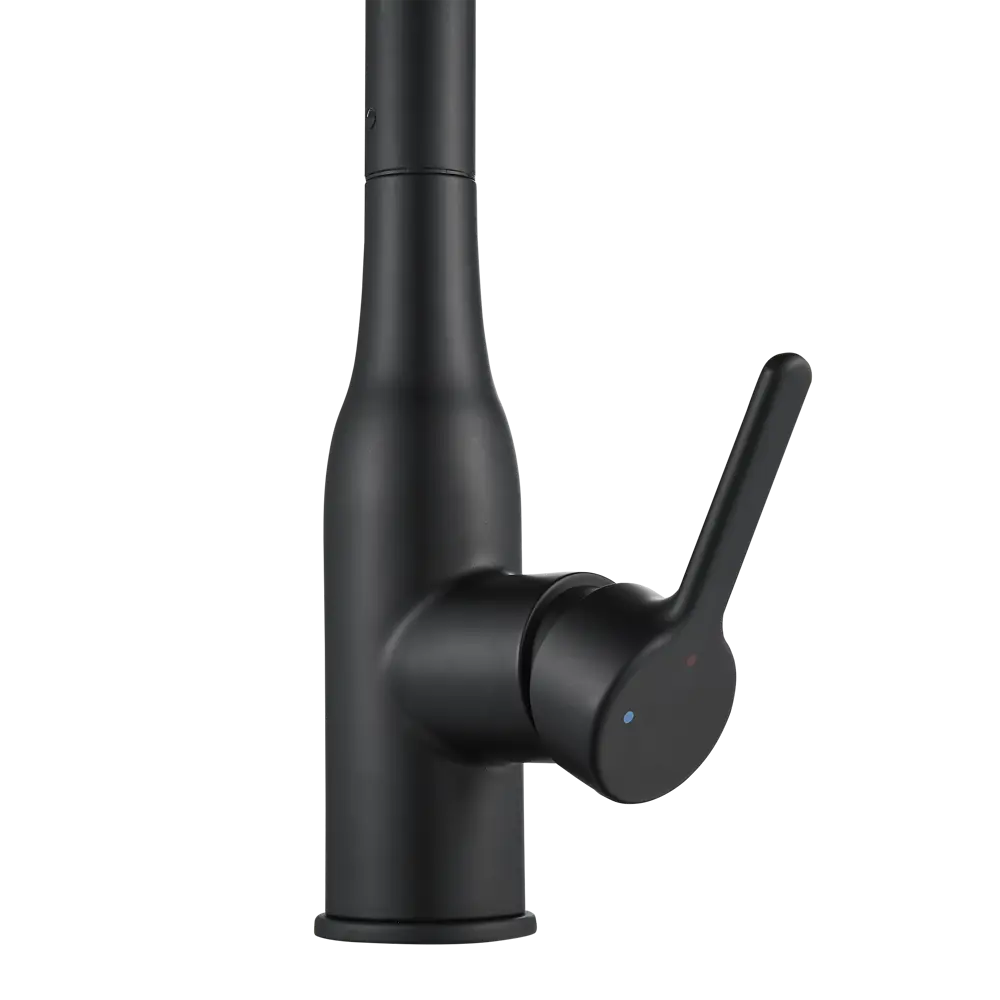 Кухонный смеситель DELINIA Fanny в матово-черном исполнении 84752045 STLM-0878106 - Вид №4