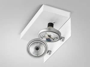 PANZERI Регулируемый потолочный металлический точечный светильник Elle P5001-2l