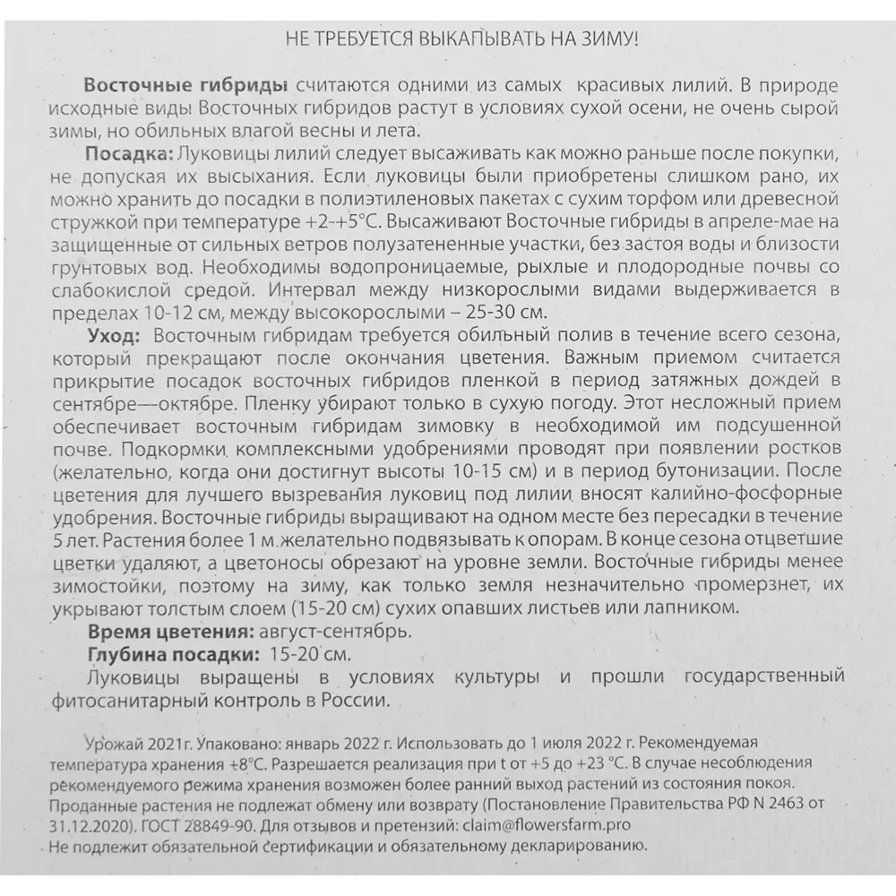 Лилия восточная махровая Твайфорд 3 шт BLOOMING LIFE STLM-2112553 - Вид №3