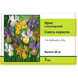 Ирис голландский микс 5 мм, 5 шт. 89396395 STLM-2090680