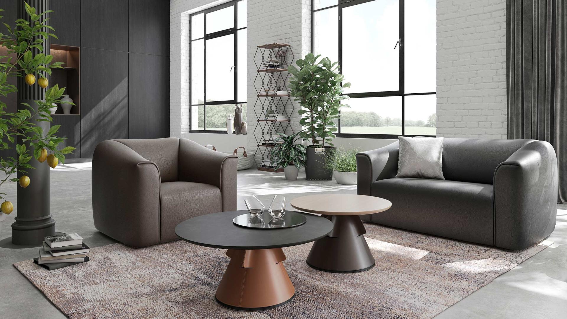 2-местный кожаный диван de Sede DS-47 ARCH-00053806 - Вид №3