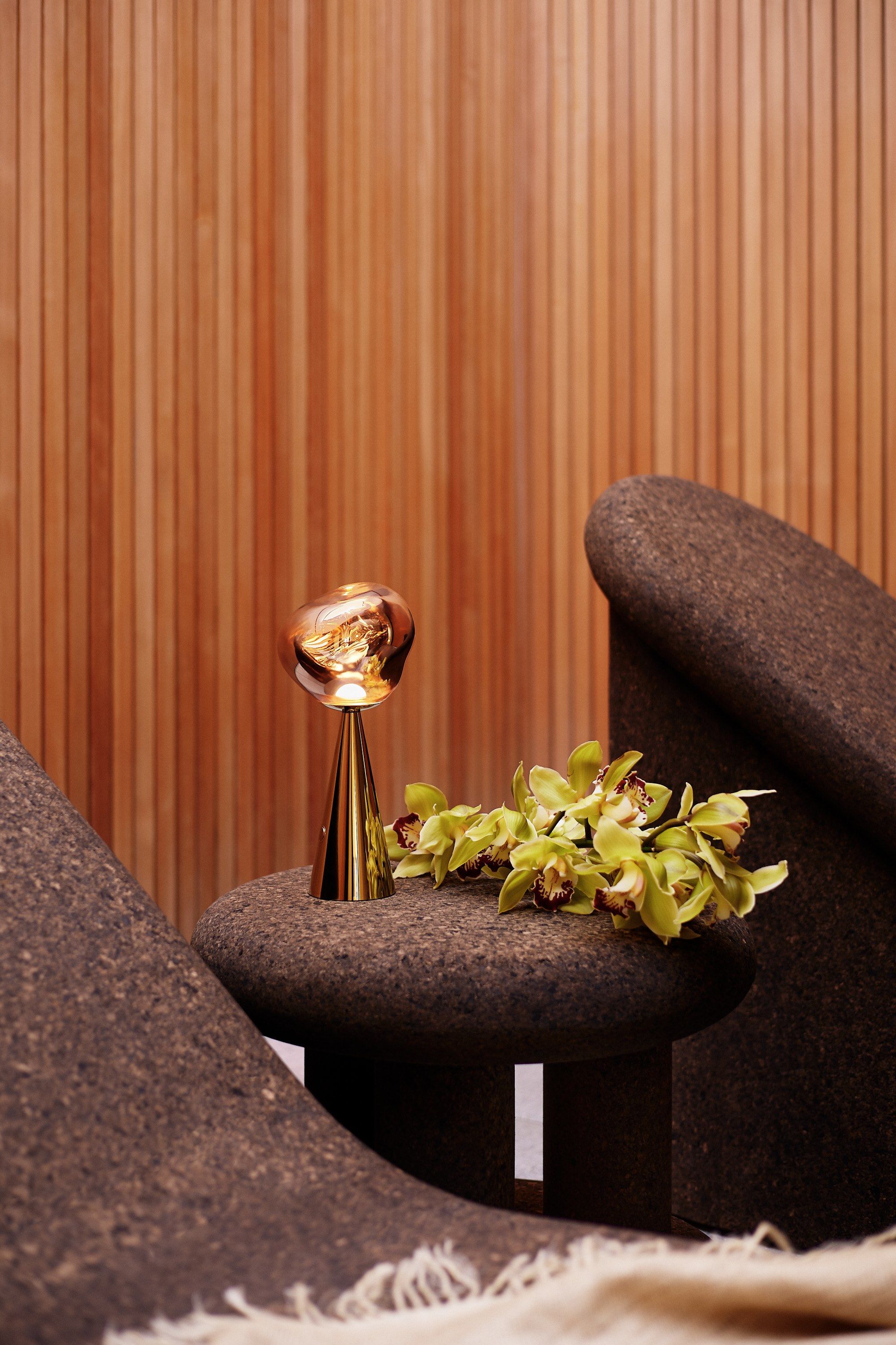 Светодиодная настольная лампа с батарейным питанием Tom Dixon Melt ARCH-00056851 - Вид №50