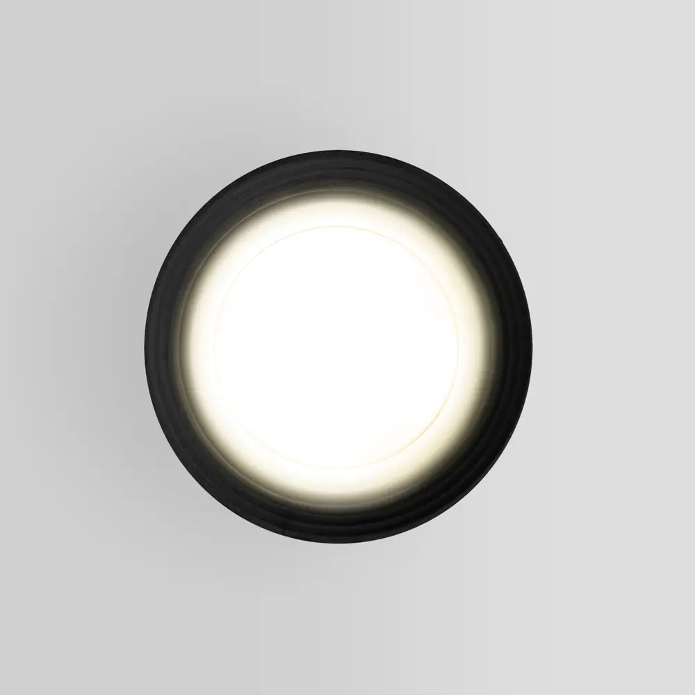 Светильник накладной Light 2101 IP65 1ХGU10Х10W, цвет черный Elektrostandard STLM-2148980 - Вид №2