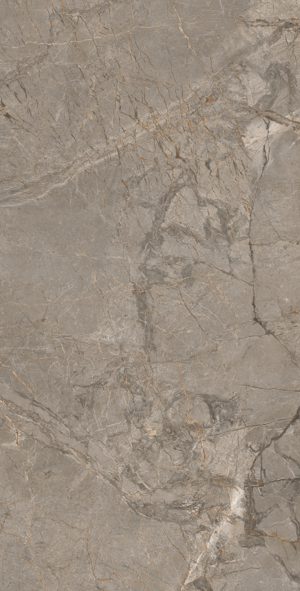 Керамогранит MISTRAL BROWN 60х120 Arcadia Ceramica CR4033-A  - Вид №4