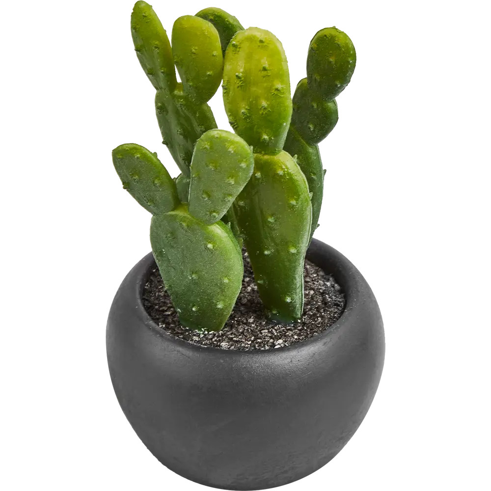 Искусственное растение в пластиковом горшке Atmosphera Кактус D6.3x11.5 см микс STLM-2119665 - Вид №9