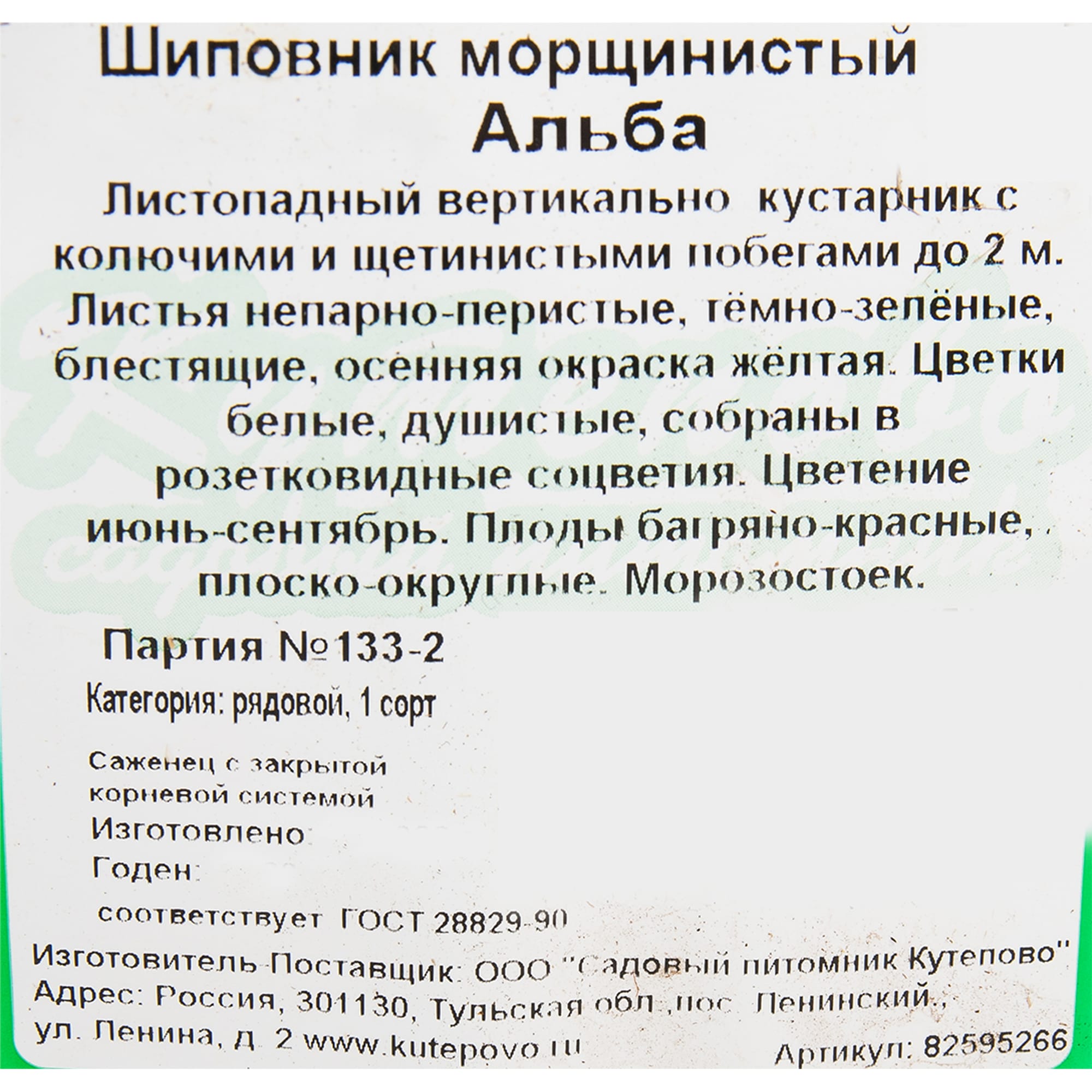 82595266 Шиповник морщинистый «Альба» 15x40 см Santreyd  - Вид №1