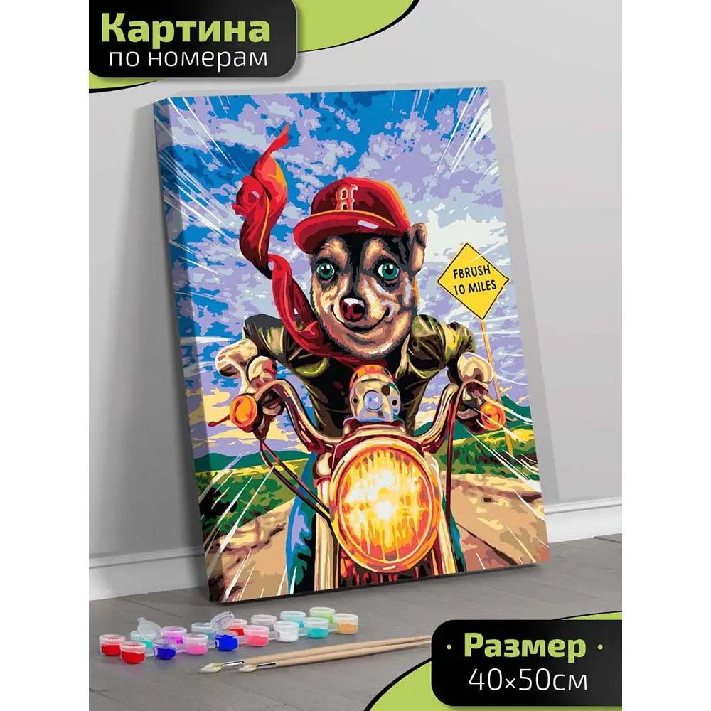 Картина по номерам Fbrush Мотоциклист 40x50 см STLM-2014388