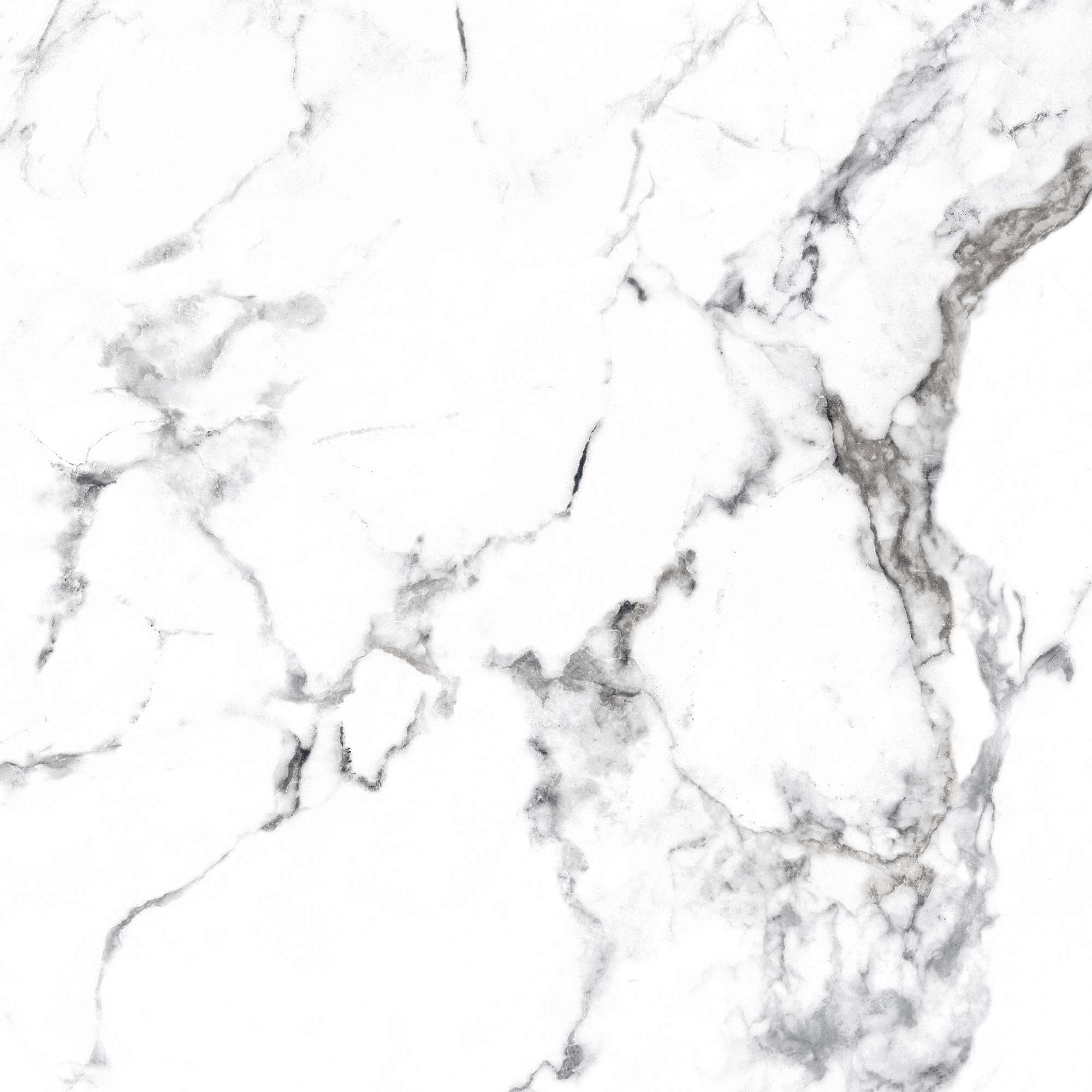 Керамогранит BORGHINI SILVER 60х60 Arcadia Ceramica CR4006-A STLM-2206816 89396428 Carving - Вид №10