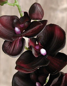 2398 299 a2 Пластиковая орхидея Phalaenopsis, 92 см, real touch, антично-темно-фиолетовый H-andreas