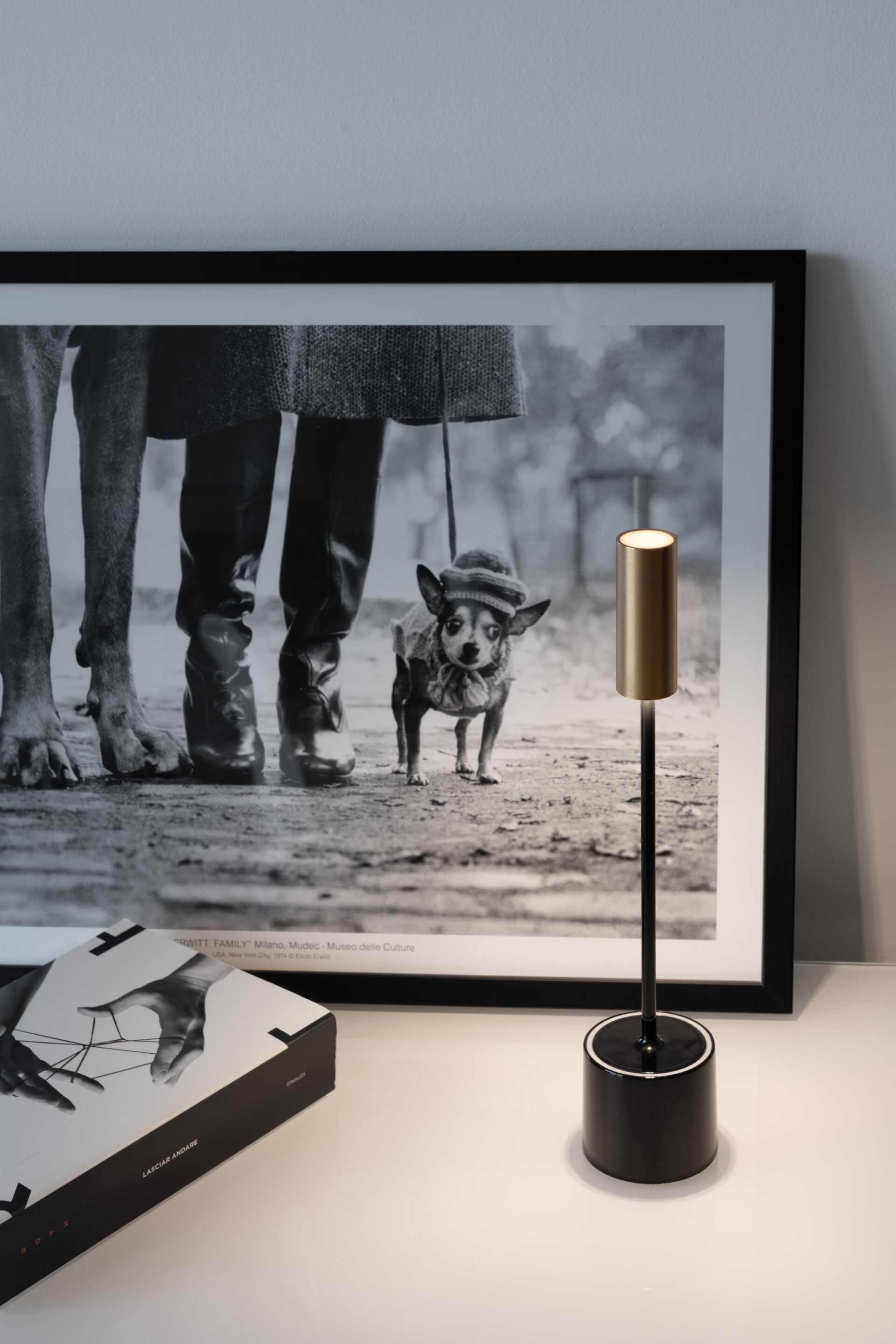 Алюминиевая аккумуляторная настольная лампа Zafferano CAROLINA ARCH-00068568 - Вид №13