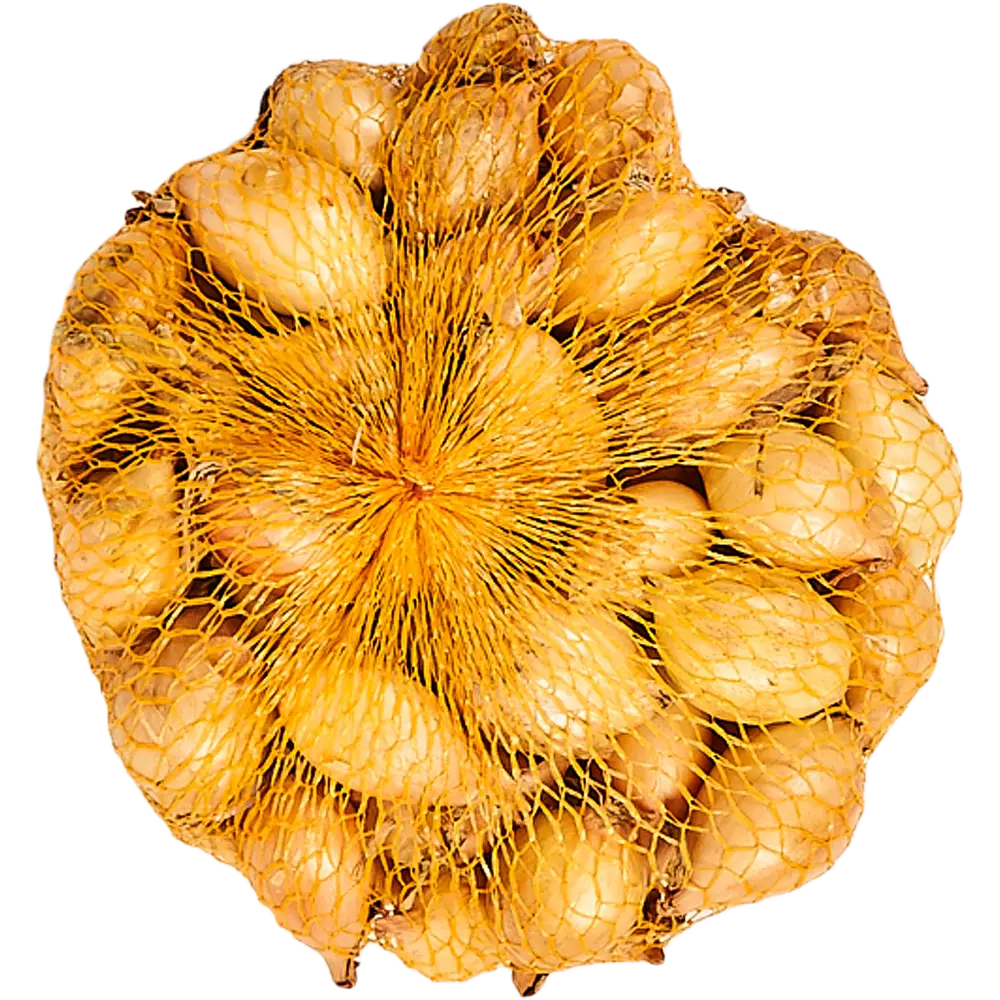 Лук-севок Шекспир (Озимый лук) 450 г ПРЕСТИЖ СЕМЕНА STLM-2034776 - Вид №1