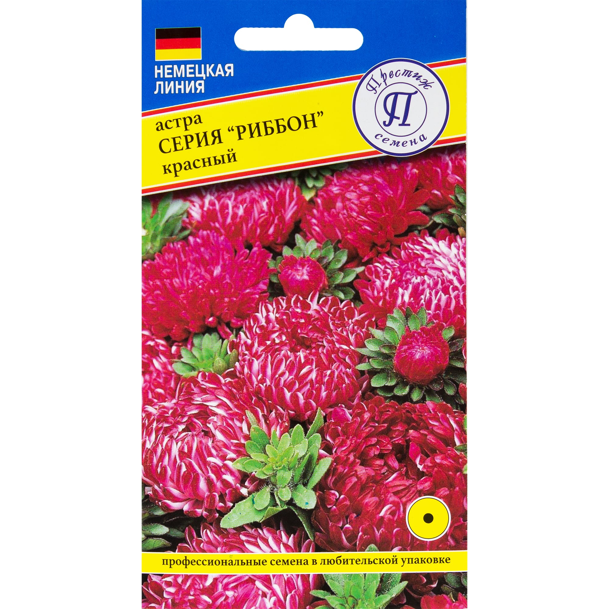 82107680 Астра «Риббон красный» Santreyd 