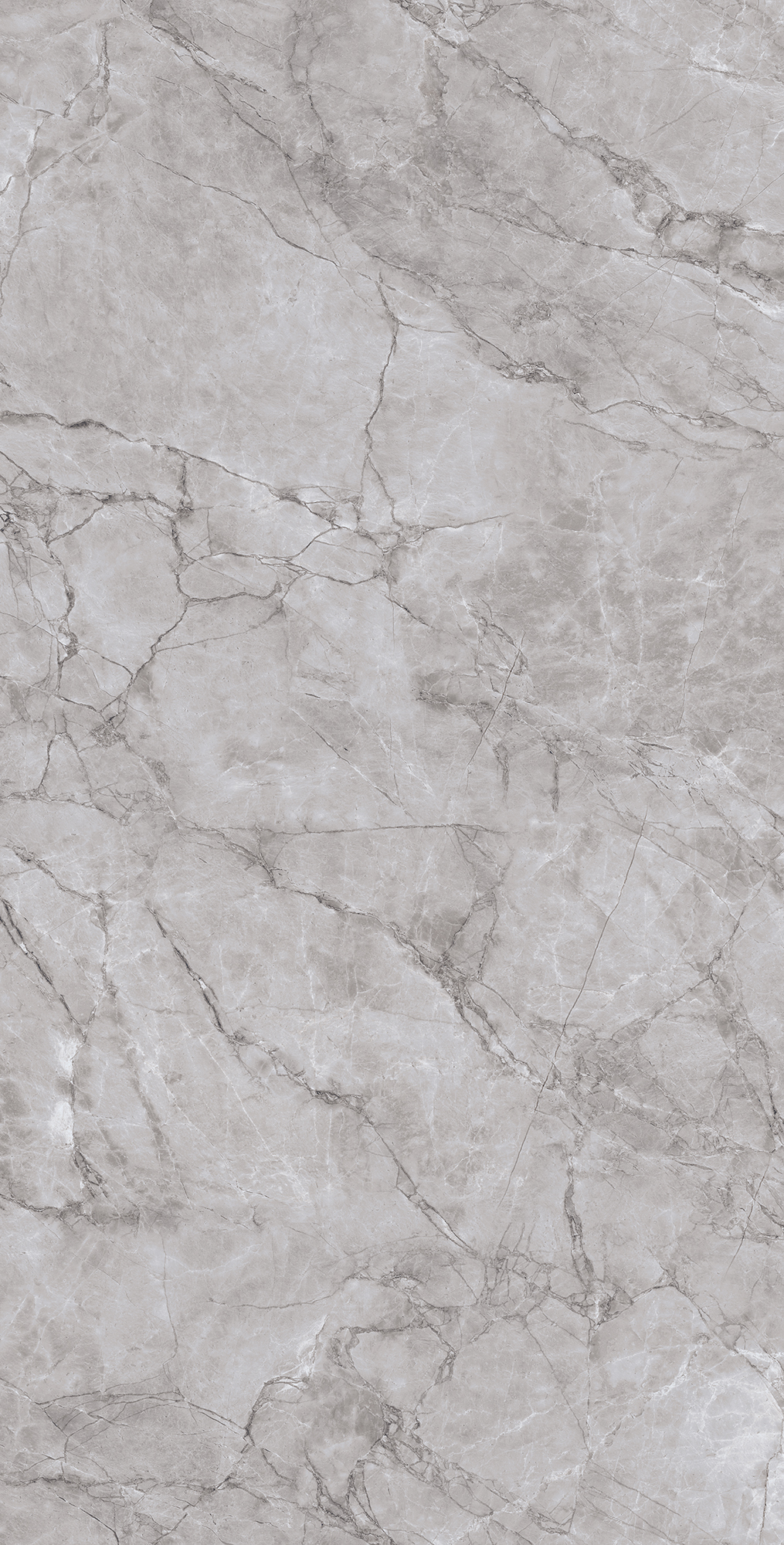 ARCTIC GREY LAPPATO — Элегантность природного камня CL4005-A Arcadia Ceramica - Вид №6