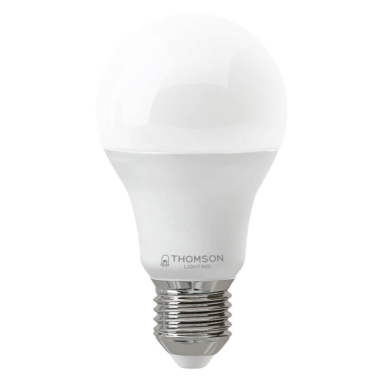 TH-B2347 Лампа светодиодная E27 19W 3000K груша матовая Thomson