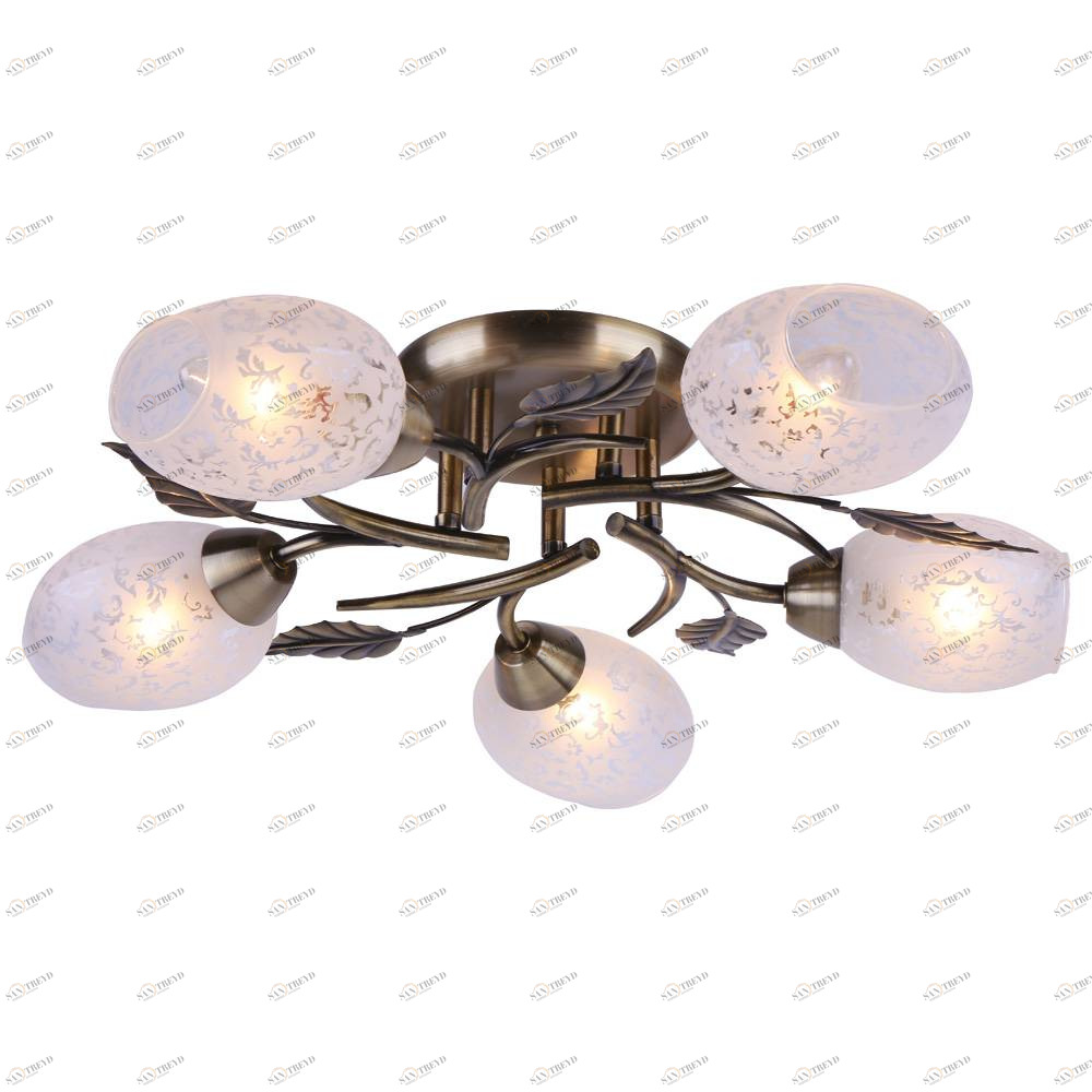 Потолочная люстра Arte Lamp Anetta A6157PL-5AB ARTE LAMP ANETTA 058301 Белый 