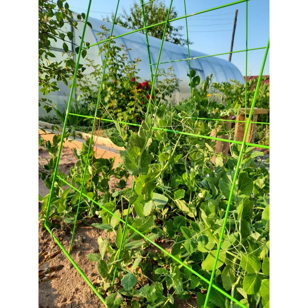 Шпалера для огурцов 78x115 см сталь зеленый Santreyd STLM-2183448 - Вид №4
