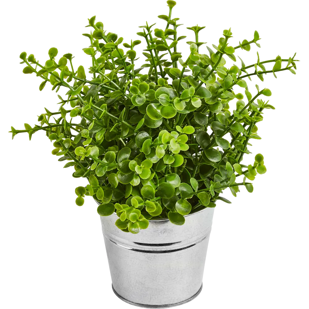 Искусственное растение в цинковом горшке Atmosphera D17x22 см микс STLM-2188552 - Вид №6