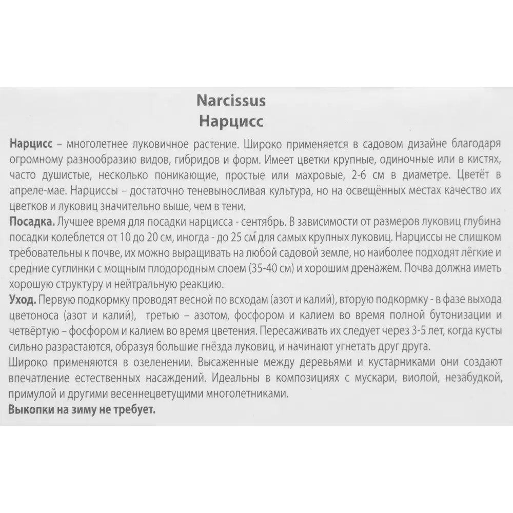 ПОИСК Нарцисс махровый Йеллоу Чирфулнесс - 3 луковицы для солнечного сада 85186018 STLM-1573765 - Вид №2