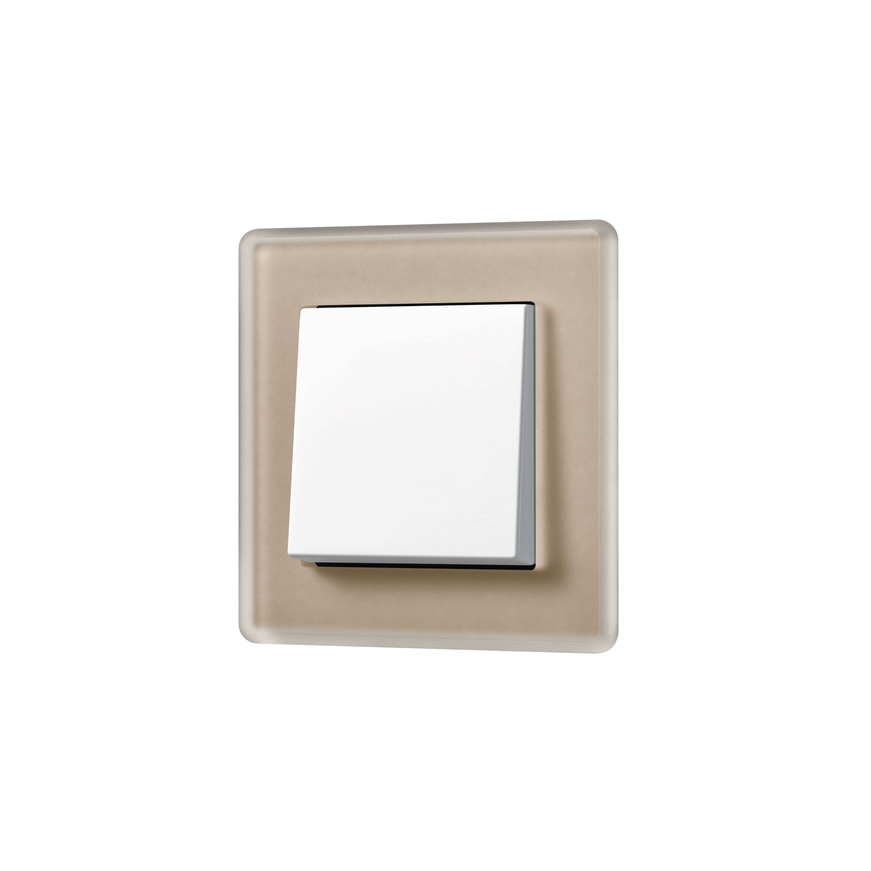 Матовый стеклянный выключатель JUNG A VIVA ARCH-00133562 - Вид №4