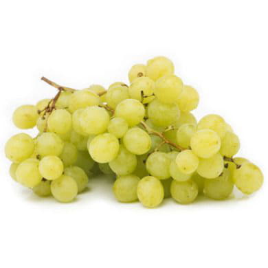 Виноград белый без косточек Santreyd 1908