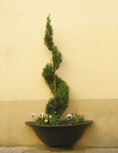 Чугунный плантатор Neri Salix ARCH-00026416 - Вид №6