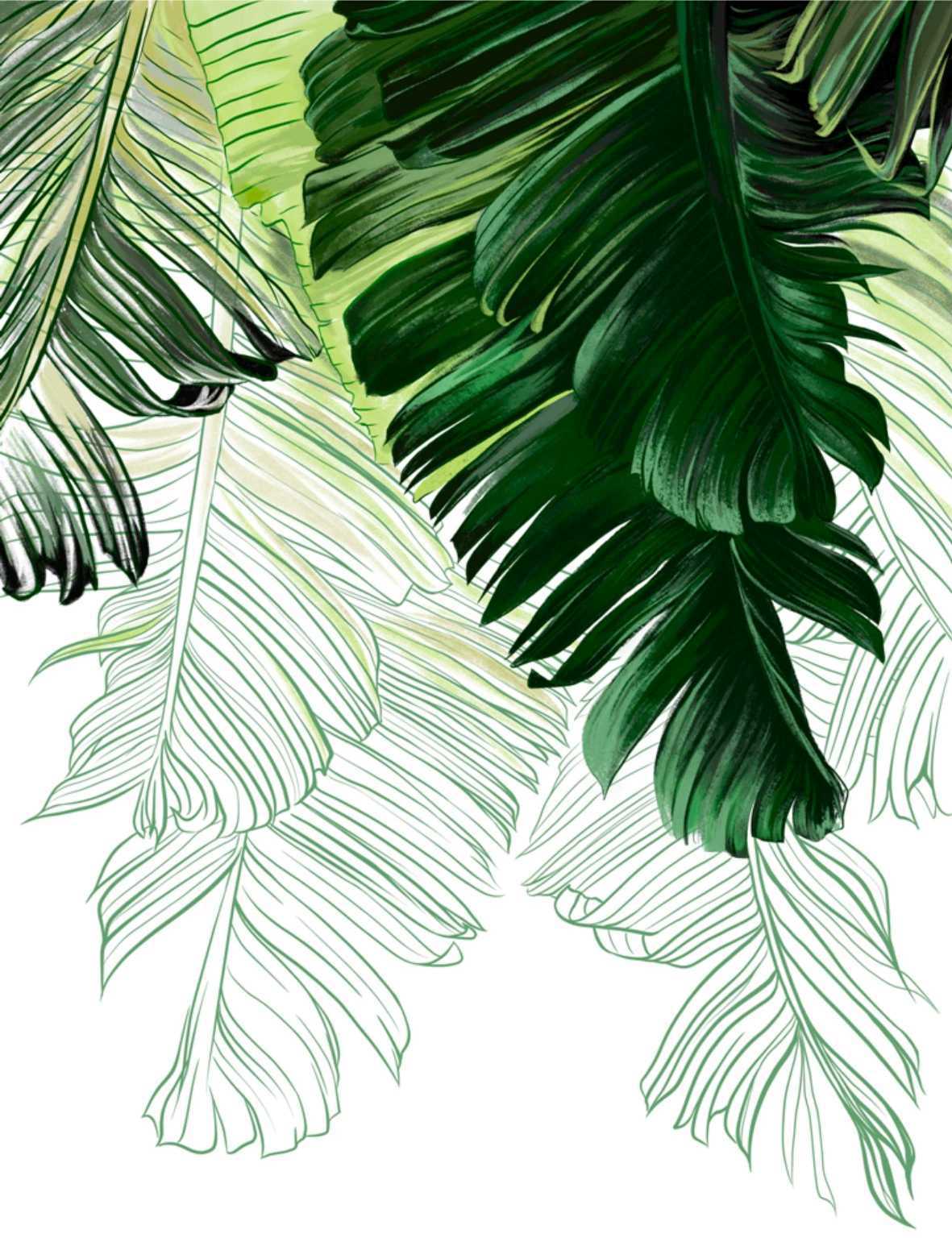 90230255 Фотообои "Акварельные пальмовые листья на белом фоне" 200х260 см Dekor Vinil STLM-0141082 DEKOR VINIL