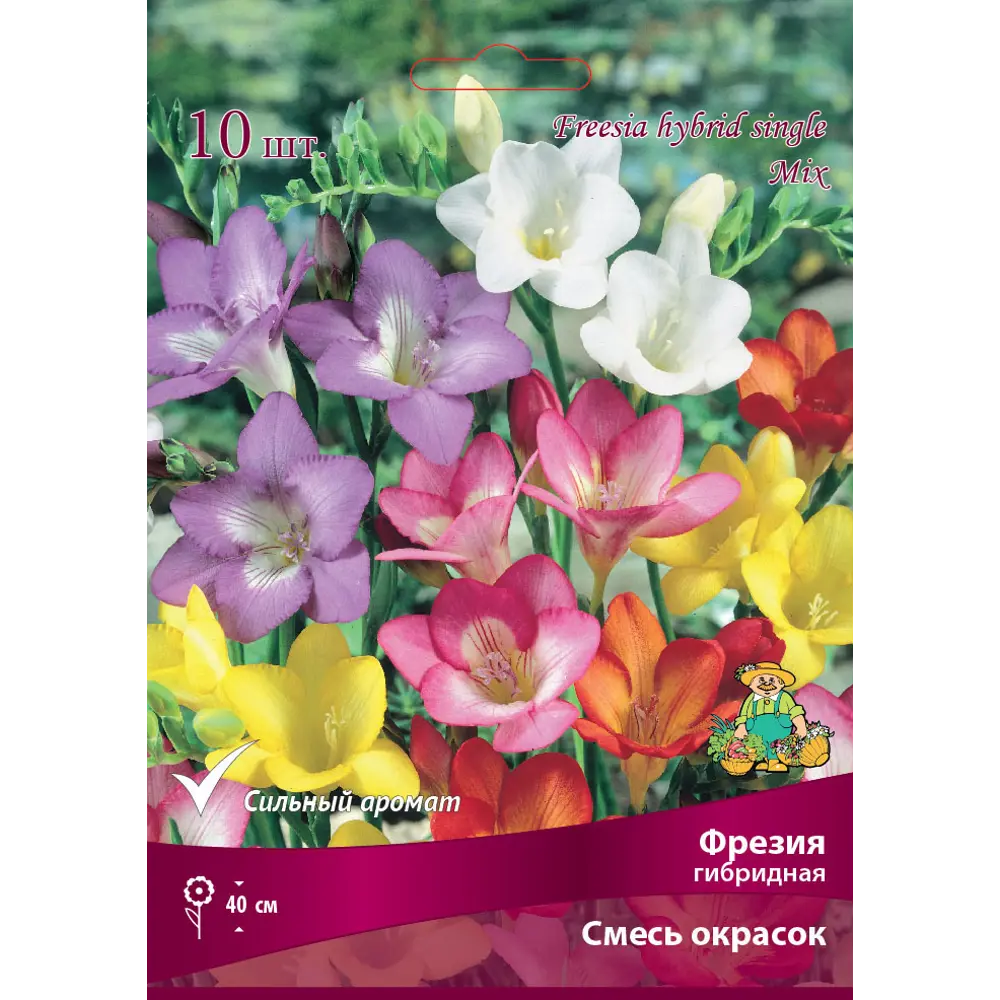 Фрезия гибридная ПОИСК - смесь нежных окрасок с ароматом ландыша 82530208 STLM-1580944