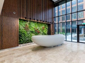 Стойка регистрации из шпона