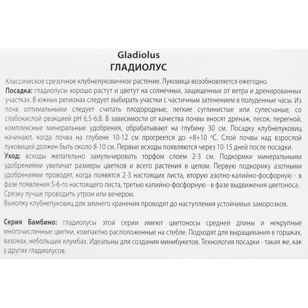 Гладиолус бамбино Ривендейл, 3 шт ПОИСК STLM-2034580 - Вид №2