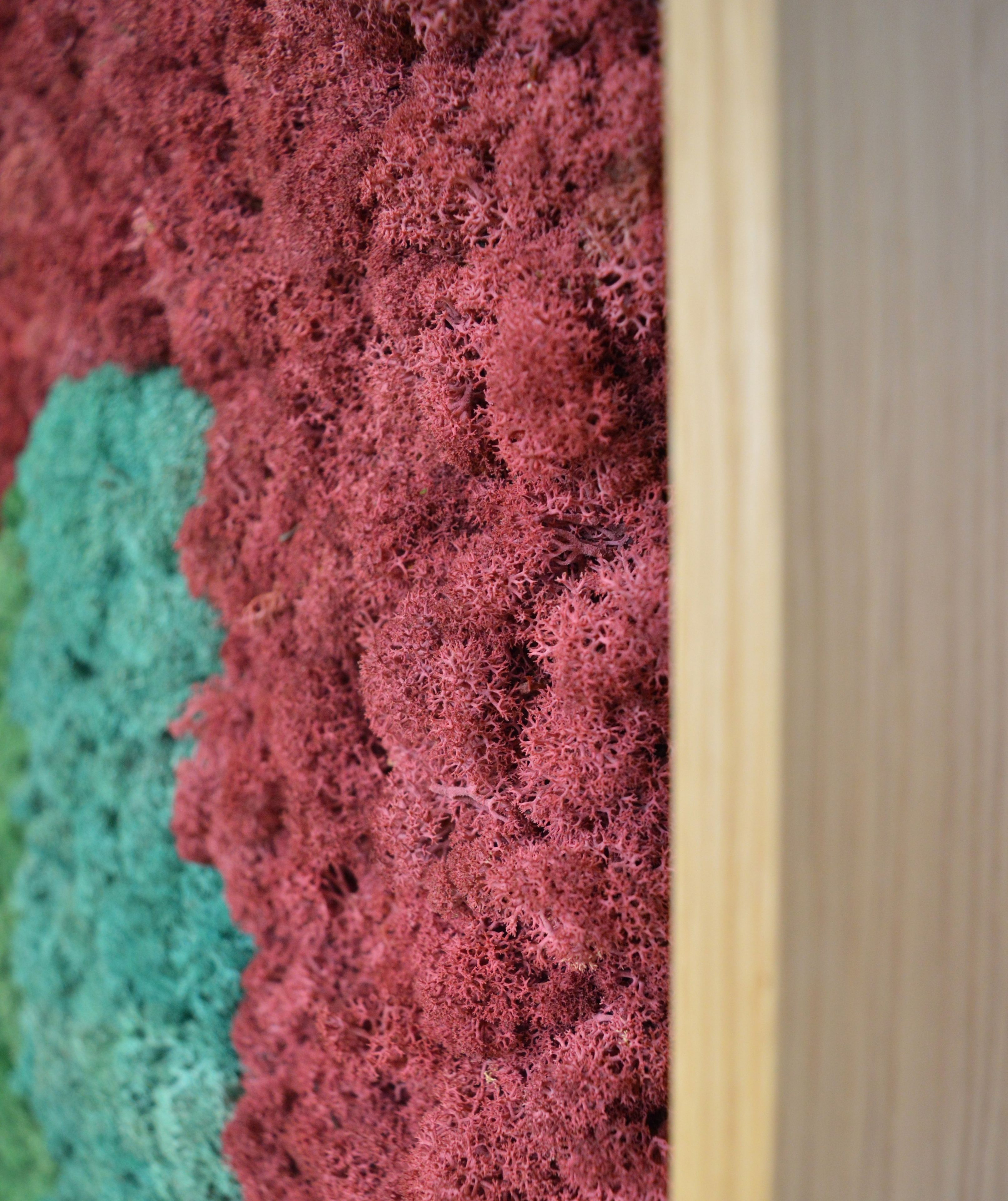 Акустическая панель из мха GREENMOOD FRAMED GEOMETRIC ARCH-00124960 - Вид №15