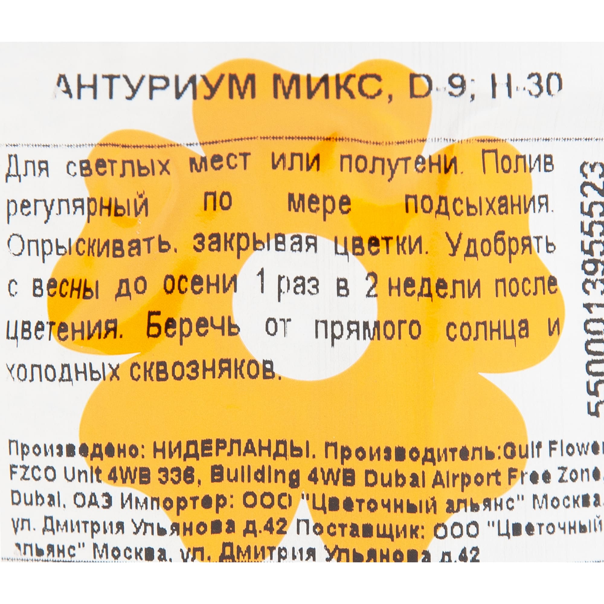 82850407 Антуриум микс 9х30 см Santreyd  - Вид №2