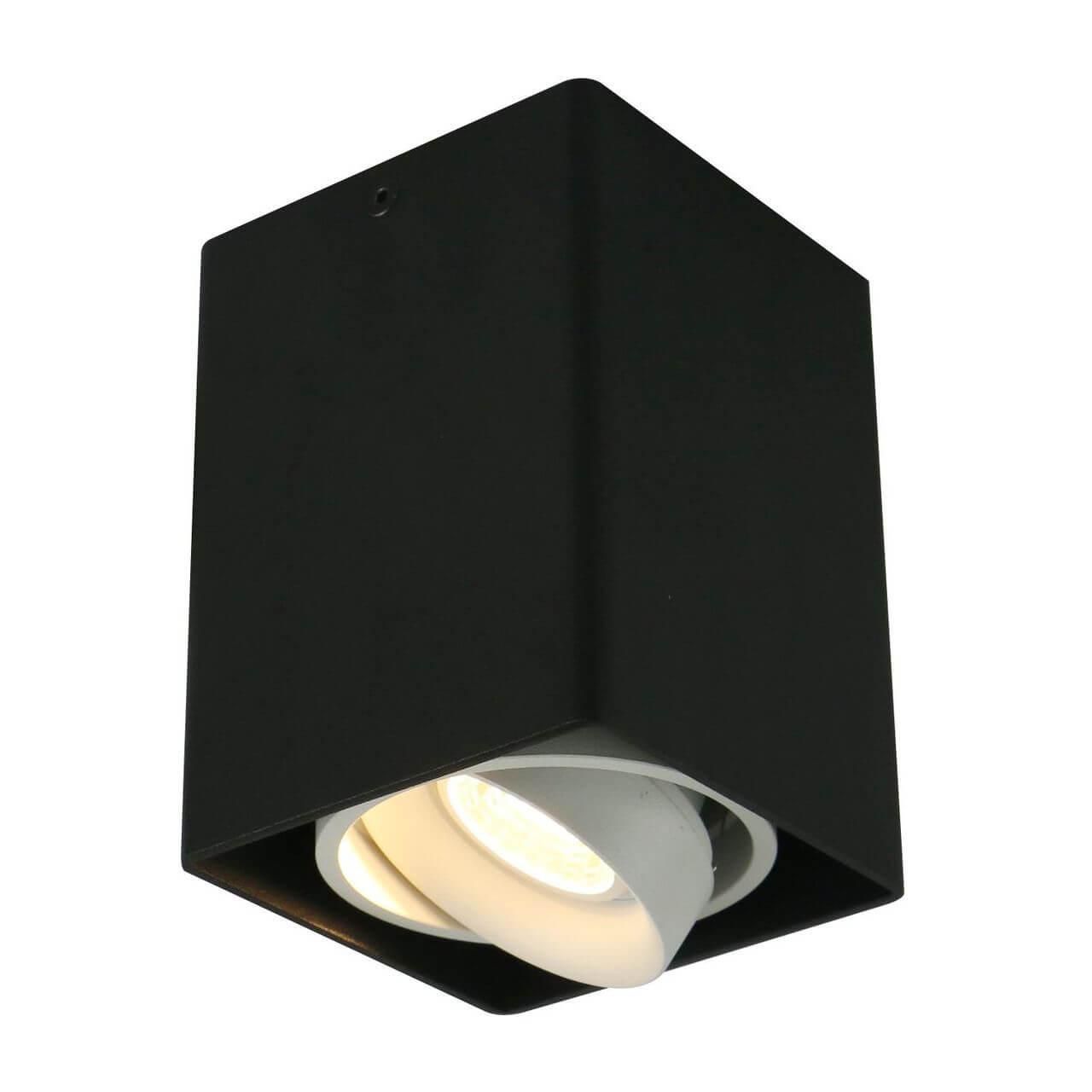A5655PL-1BK Потолочный светильник Arte Lamp 5655
