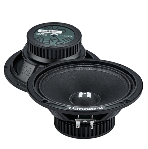 5481304 Среднечастотная акустическая система Deaf Bonce Alphard Hannibal HM-6E+