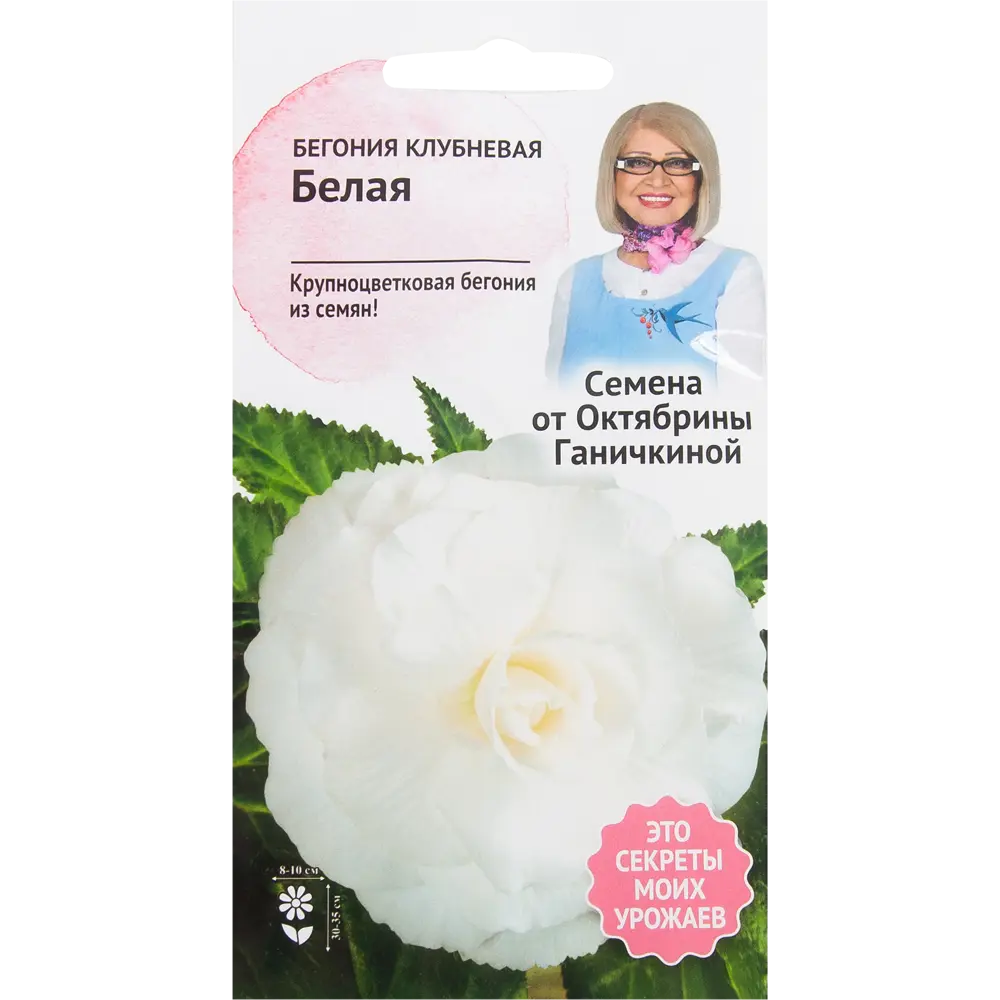 Бегония белая 6 шт СЕМЕНА ОТ ОКТЯБРИНЫ ГАНИЧКИНОЙ STLM-2033043
