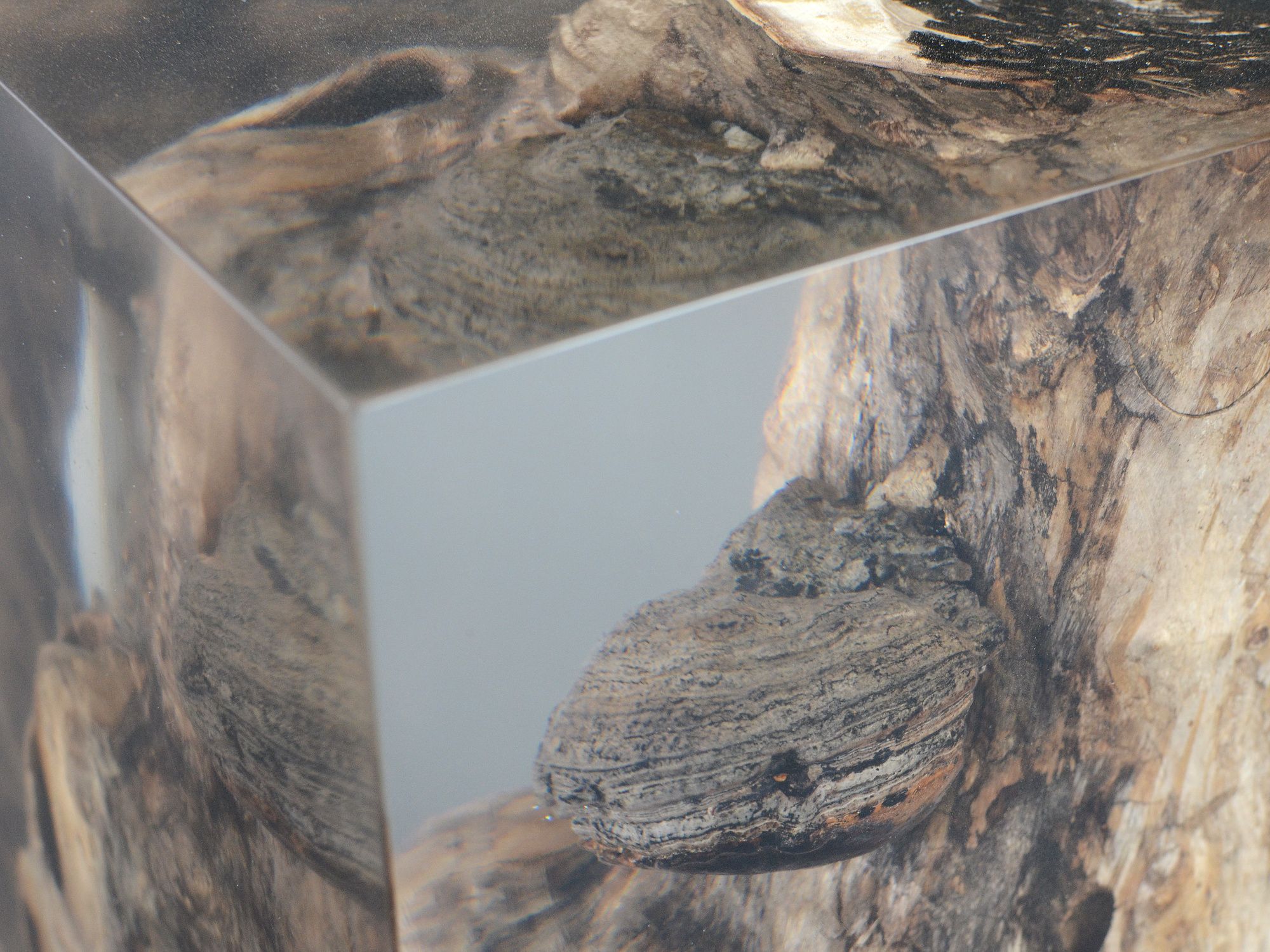 Табурет / журнальный столик alcarol Fungi ARCH-00131901 - Вид №8