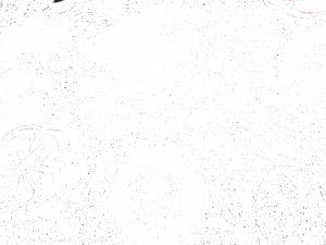 Equipo DRT Ткань с цветочными мотивами  21199