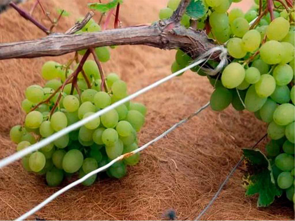 Мульча кокосовая Мульчаграм 1x3 м ГеоПластБорд GPBST-245 - Вид №2