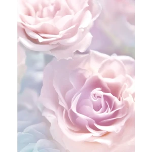Фотообои «Розы в дымке», флизелиновые, 200x260 см, W513055